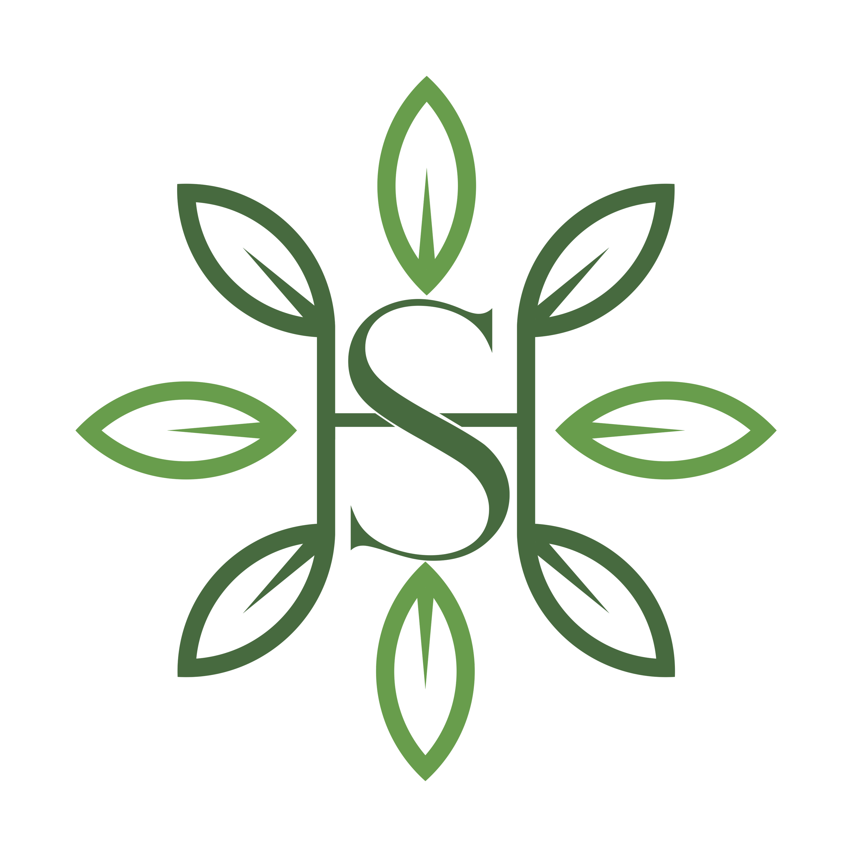 Seed & Herbs